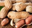 Neuer Durchbruch: Erdnussprotein-Pflaster mindern (Foto: AdobeStock - karepa 125027363)